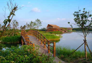 上海東灘國(guó)際濕地公園